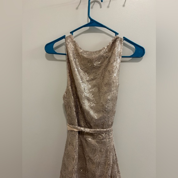 Free People Blush Sequin Swirl Dress with a Drape Neck - Picture 8 of 9